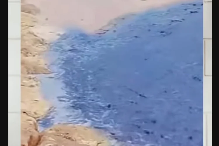Viral! Air Keruh Bau Menyengat Keluar di Pantai Segara Sanur, Warganet Curiga Limbah