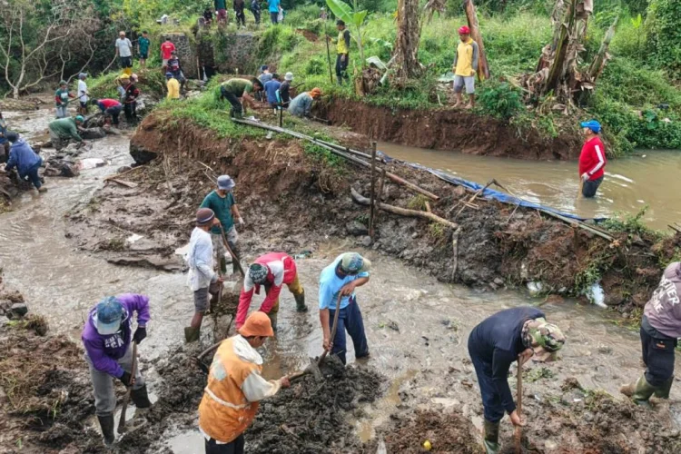 Saluran Irigasi di Pasirjambu Jebol, 3 Hektare Sawah Gagal Panen