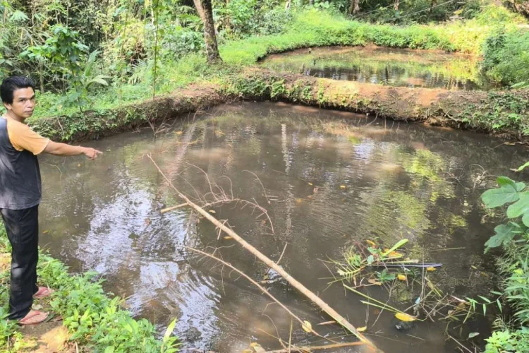Kolam Ikan Tercemar, Akademisi: Pemkot Tasikmalaya Harus Segera Benahi TPA Ciangir