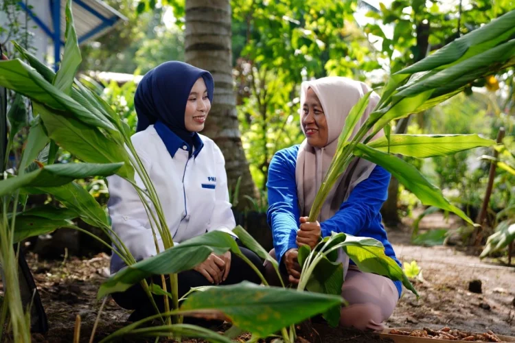 PNM Catat Dampak Nyata, Pendapatan Nasabah Mekaar Meningkat hingga 43 Persen