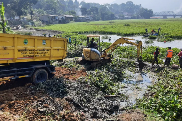 Waduk Saguling Terparah Diimpit Eceng Gondok, PLN IP-Pemda KBB Genjot Pembersihan