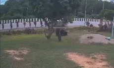 Viral Detik-detik Bocah 11 Tahun Tabrak Rombongan Biksu hingga Tewaskan 9 Orang