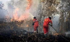 3 Kebakaran Lahan Terjadi Seminggu Terakhir, Karhutla di Bandung Barat Kian Mengancam