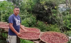 Kopi Bandung Barat Mendunia, Java Halu Farm Ekspor hingga Eropa dan Amerika