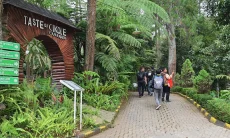 Libur Sekolah, Kunjungan ke Grafika Cikole Naik 40 Persen