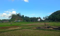 Hampir 10 Kecamatan Terdampak Kemarau, Petani di Tasikmalaya Diimbau Ubah Pola Tanam