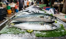 Mudah Didapat di Pasar, Ini 5 Jenis Ikan yang Mengandung Omega-3 yang Tinggi
