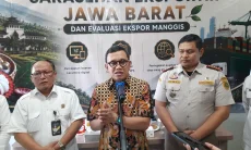 Manggis Jabar Jadi Primadona, Badan Karantina Targetkan Ekspor Rp2,5 T Tahun Ini