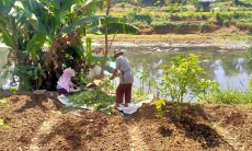 Sawah Margaasih Terancam Gagal Panen, Petani Sebut Irigasi Hilang Gegara Tol Soroja