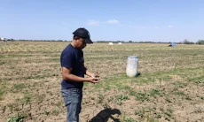 95 Hektare Sawah di Kalisapu Mengering, Pemdes Desak Dinas PUTR Benahi Irigasi