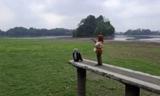 Wisata Air Berubah Jadi Hamparan Rumput Hijau, Situ Gede Diserbu Pemburu Foto