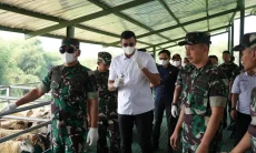 Program Cikabayam Kodam III Siliwangi Perkuat Ketahanan Pangan Berbasis Peternakan