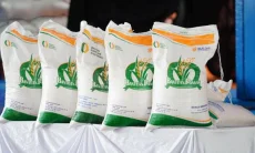 Harga Beras dan Minyak Kemasan Masih Tinggi, DKPP Jabar Pastikan Stok Kedelai  Aman