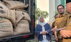 20,4 Ton Kopi Java Halu dari KBB Diterbangkan ke Empat Negara