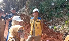 Belajar dari Jepang, Wali Kota Bogor Kembangkan PSEL Kayu Manis dan Galuga