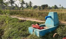 Antisipasi Kekeringan Lahan Pertanian, DTPHP Cianjur Terapkan Sistem Gilir Giring Air