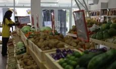 Atasi Inflasi dan Kesejahteraan Petani, Pemkab Kuningan Hadirkan Rumah Sayur