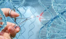Kemendag Dorong Rantai Pasok Global, Produk Bioteknologi Indonesia Tembus Taiwan
