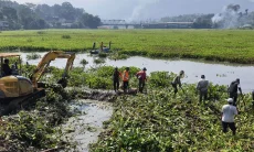 PLN dan Warga Bersihkan Eceng Gondok di Saguling, Populasi Nyamuk Mulai Ditekan