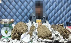 Sembunyikan 3,1 Kg Ganja di Guci, DPO Pengedar Narkoba Ditangkap Polres Aceh Barat