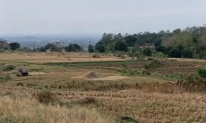 Cirebon Tetapkan Siaga Darurat Kekeringan dan Karhutla, Lima Kecamatan Krisis Air