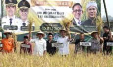 BI Jabar dan Pemkab Cianjur Dongkrak Hasil Panen Padi Organik