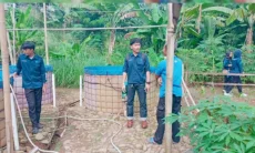 KIM Ranggamekar Kenalkan Budidaya Ikan Bioflok dengan Sistem Sipanen