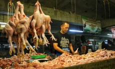 Harga Ayam Potong Naik, Pasokan Pangan di Pasar Tradisional Kota Bandung Aman