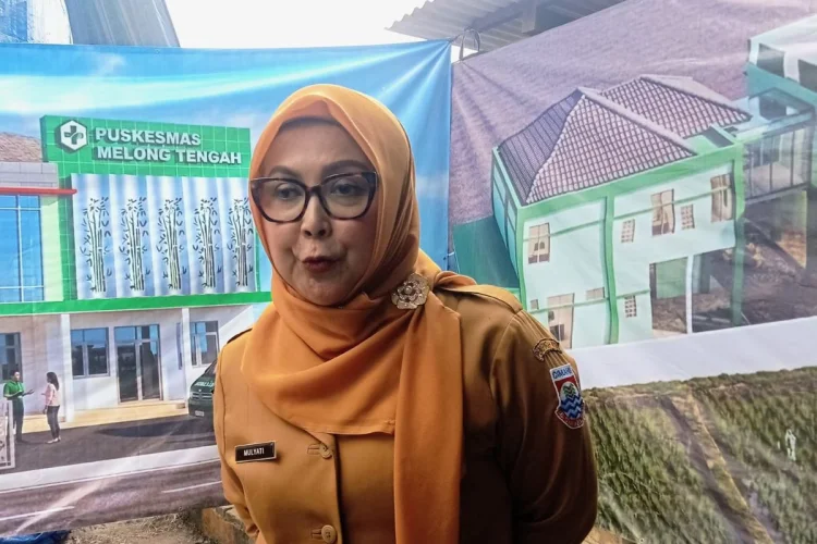 Bantah Data Viral, Dinkes Cimahi Tegaskan Jumlah ODGJ Terlayani Hanya 907 Orang
