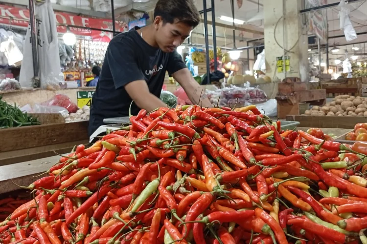 Harga Pangan Hari Ini: Cabai Rawit Rp72.400, Telur Ayam Rp31.650 per Kg