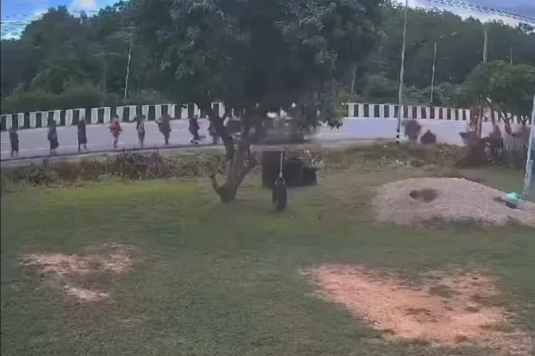 Viral Detik-detik Bocah 11 Tahun Tabrak Rombongan Biksu hingga Tewaskan 9 Orang