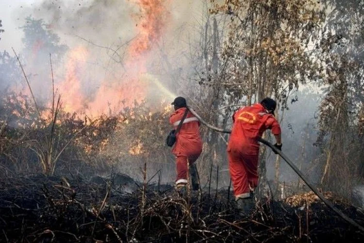 Kebakaran Hutan Hebat di Kanada, 20 Ribu Warga Dievakuasi