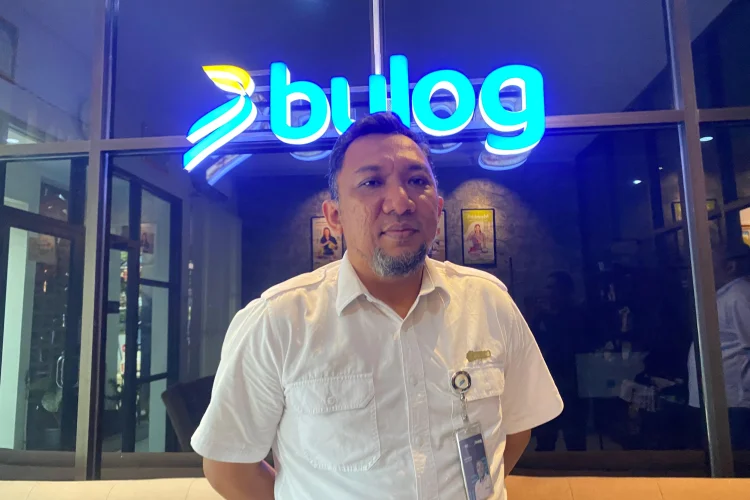 Bikin Resah, Kutu Beras Serang Puluhan Rumah Warga Dekat Gudang Penyimpanan Bulog