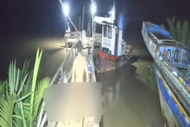Tragis! Warga Bandung Barat Diterkam Buaya di Sungai Teluk Betung Banyuasin