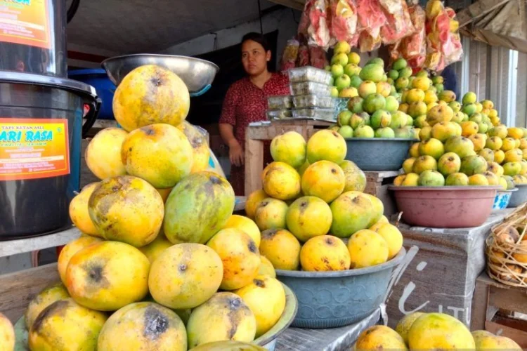 Tingkatkan Produktivitas Petani, Pemkab Sumedang Kembangkan Sentra Mangga