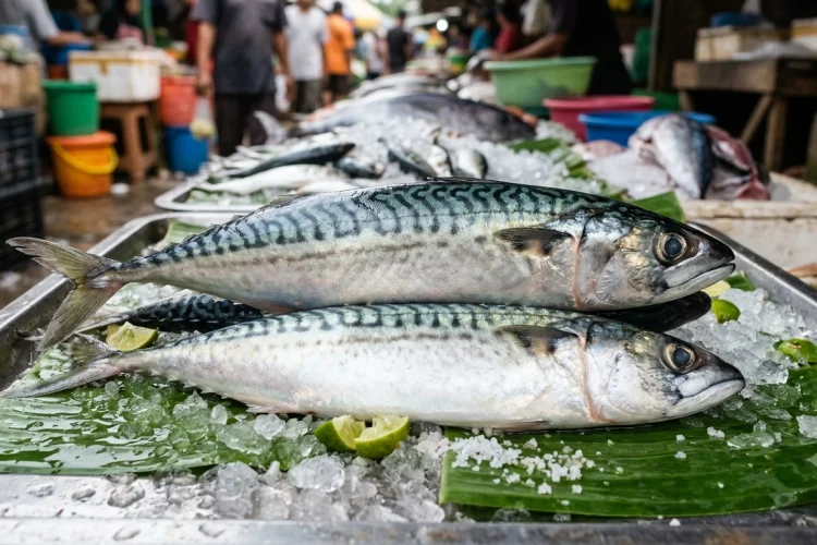 Mudah Didapat di Pasar, Ini 5 Jenis Ikan yang Mengandung Omega-3 yang Tinggi