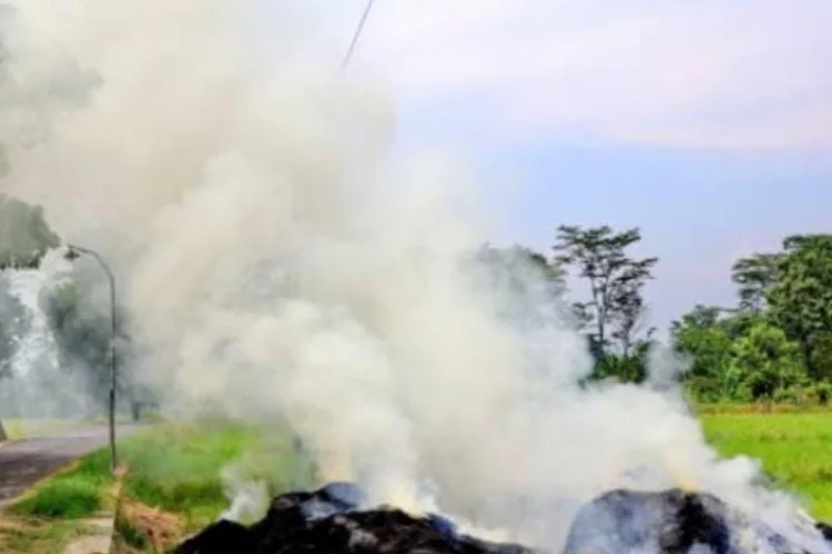 Larang Keras Bakar Sampah Sembarangan, DLH Cimahi Siap Terapkan Sanksi