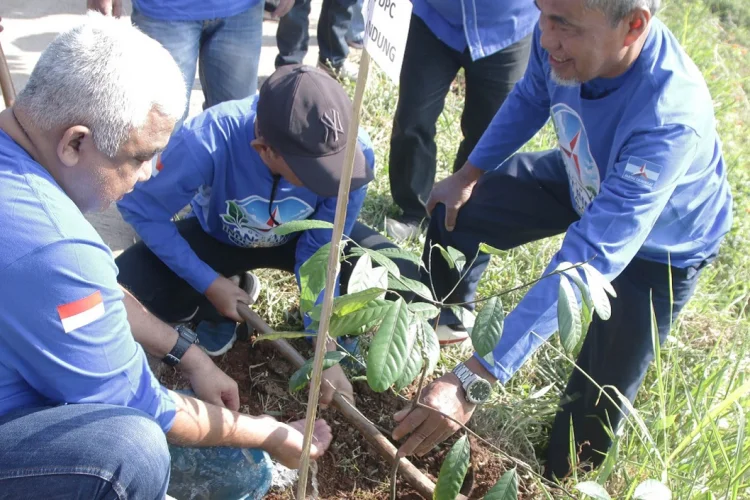 Demokrat Kabupaten Bandung Tanam Ratusan Pohon Awali Gerakan Langit Biru