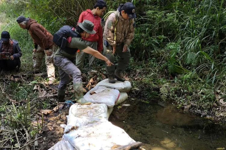 Bandung Selatan Terancam Krisis Air, FK3I Soroti Alih Fungsi Hutan dan Rawa