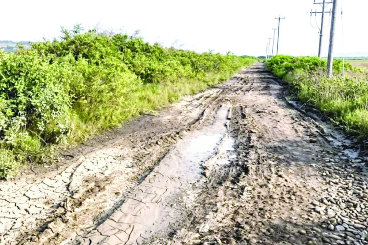 Jalan Desa Menanti Sentuhan Menuju Harapan