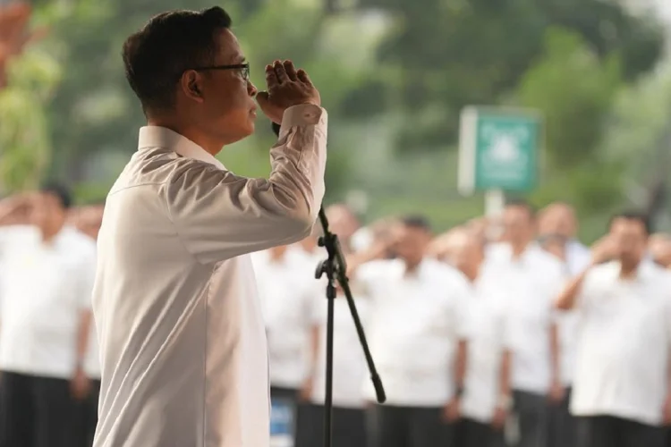 Semester I 2026, DJP Catat Penerimaan Pajak Hingga Rp1.035,7 Triliun