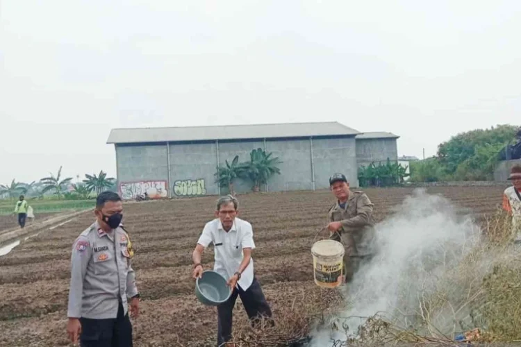 Pembakaran Sampah Ancam Kesehatan Anak-Anak hingga Lansia