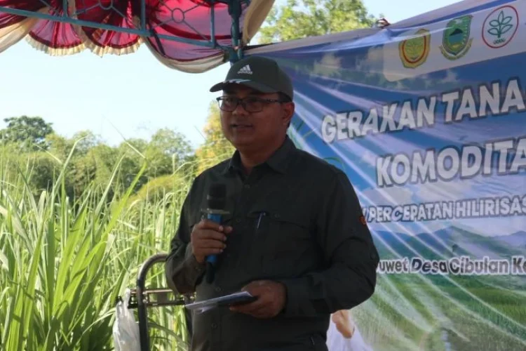 Target Tebu Kuningan Capai 267 Hektare, Diskatan Kawal Bantuan Benih dan Lahan Petani
