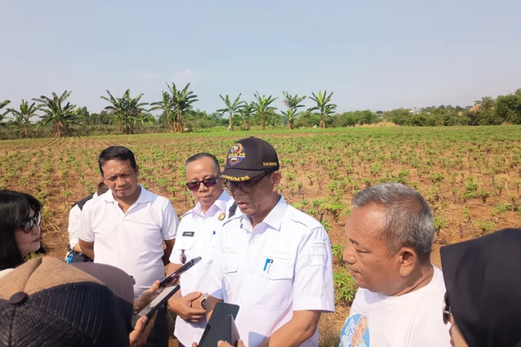 PSEL Kayumanis Buka Lapangan Kerja Baru