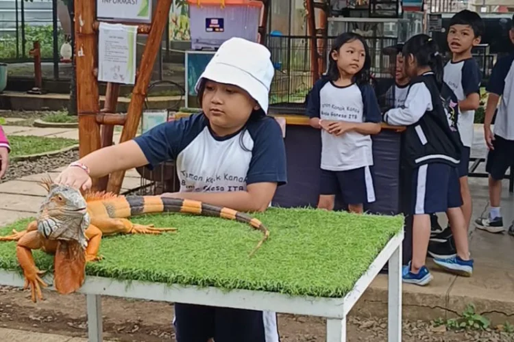 Kemendikdasmen Dorong Penerapan Pembelajaran Mendalam di Jenjang PAUD