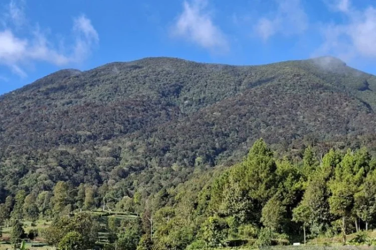 Dedi Mulyadi Terbitkan Edaran Larangan Naik Gunung, Cegah Karhutla di Jabar