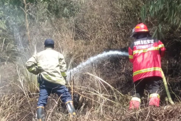 Waspada! 8 Kecamatan di Bandung Rawan Kebakaran Lahan Saat Musim Kemarau