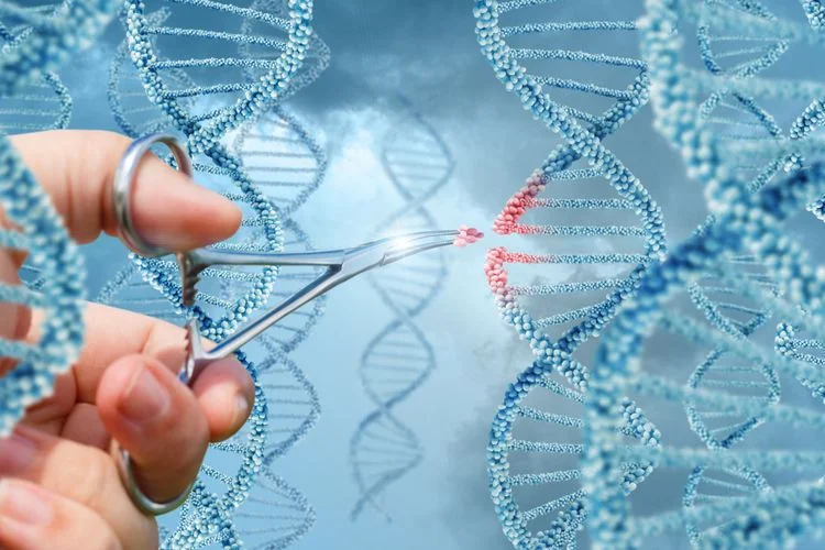 Kemendag Dorong Rantai Pasok Global, Produk Bioteknologi Indonesia Tembus Taiwan