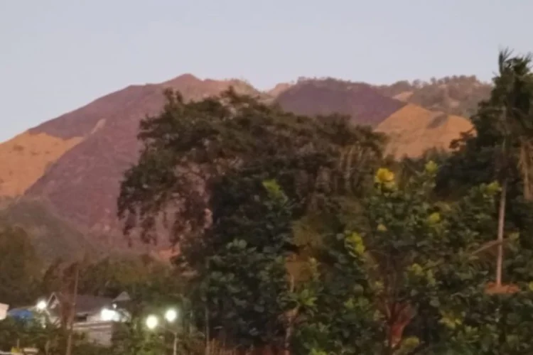 Karhutla Gunung Ringgit Probolinggo Padam, 4,5 Hektare Lahan Terbakar