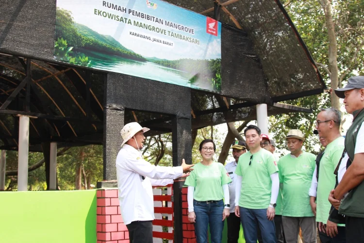 AHM Bangun Rumah Semai Bibit Mangrove di Pesisir Karawang